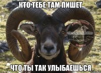 кто тебе там пишет что ты так улыбаешься