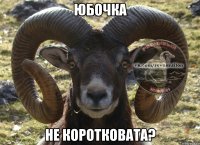 юбочка не коротковата?