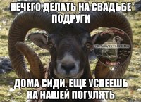 Нечего делать на свадьбе подруги Дома сиди, еще успеешь на нашей погулять