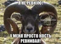 Я не ревную! У меня просто кость ревнивая!