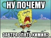 НУ ПОЧЕМУ ЗАВТРА ОПЯТЬ ХИМИЯ?