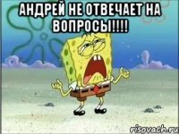 Андрей не отвечает на вопросы!!!! 