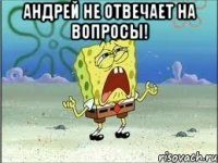 Андрей не отвечает на вопросы! 