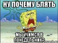 Ну почему блять Мы учимся в понедельник?