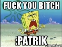 fuck you bitch :Patrik