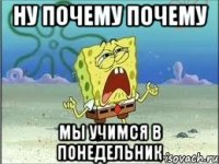 ну почему почему мы учимся в понедельник