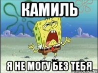 КАМИЛЬ я не могу без тебя