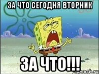 за что сегодня вторник ЗА ЧТО!!!