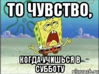 То чувство, когда учишься в субботу