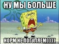 Ну МЫ больше норм не погуляем(((((