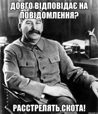 Довго відповідає на повідомлення? РАССТРЕЛЯТЬ,СКОТА!