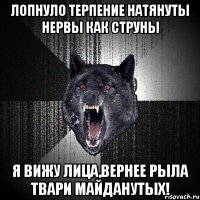 Лопнуло терпение натянуты нервы как струны Я вижу лица,вернее рыла твари майданутых!