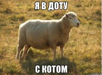 я в доту с котом