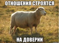 отношения строятся на доверии