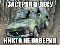 застрял в лесу никто не поверил