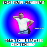 Видит pikabu - спрашивает "Опять в своём братстве кекса висишь?"