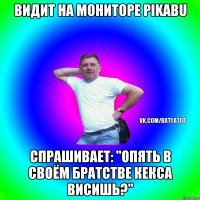 Видит на мониторе pikabu спрашивает: "Опять в своём братстве кекса висишь?"