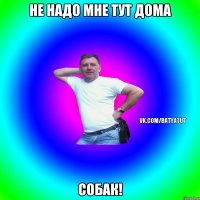 не надо мне тут дома собак!