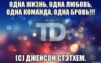 Одна жизнь, одна любовь, одна команда, одна бровь!!! (С) Джейсон Стэтхем.