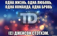 Одна жизнь, одна любовь, одна команда, одна бровь (С) Джейсон Стэтхэм.