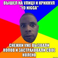 Вышел на улицу и крикнул "Yo Nigga" Снежки уже вызвали копов и застраховали свое колено