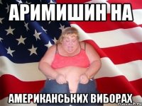аримишин на американських виборах