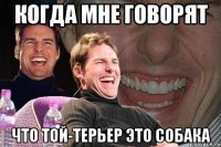 Когда мне говорят что той-терьер это СОБАКА