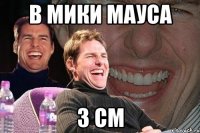 В МИКИ МАУСА 3 СМ