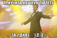 Приучила кошку к туалету за 2 дня (*_*) Z( )Z /