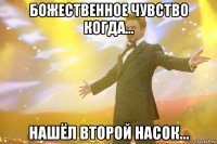 Божественное чувство когда... Нашёл второй насок...