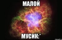 Малой Мусик:*