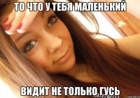 То что у тебя маленький Видит не только гусь