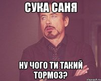 сука Саня ну чого ти такий тормоз?