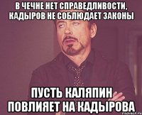 В Чечне нет справедливости, Кадыров не соблюдает законы Пусть Каляпин повлияет на Кадырова