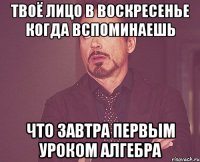 Твоё лицо в воскресенье когда вспоминаешь Что завтра первым уроком алгебра