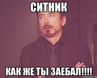 СИТНИК КАК ЖЕ ТЫ ЗАЕБАЛ!!!!