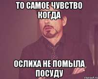 То самое чувство когда ослиха не помыла посуду