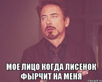  Мое лицо когда Лисенок фырчит на меня