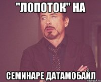 "Лопоток" на семинаре ДатаМобайл