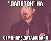 "Лапоток" на семинаре ДатаМобайл