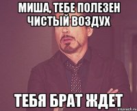 Миша, тебе полезен чистый воздух Тебя брат ждет