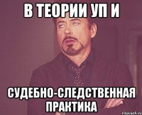 в теории УП и судебно-следственная практика