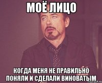 Моё лицо Когда меня не правильно поняли и сделали виноватым