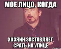 Мое лицо, когда хозяин заставляет срать на улице