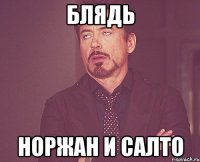 БЛЯДЬ НОРЖАН И САЛТО