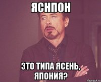 яснпон Это типа ясень, япония?