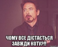  Чому все дістається завжди коту?!!