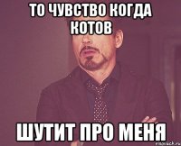 то чувство когда котов шутит про меня