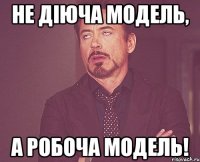 не діюча модель, а робоча модель!