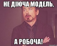 Не діюча модель, а робоча!
